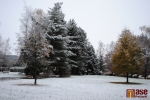 První sníh sezony v semilském parku Ostrov