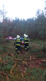 Prověřovací cvičení hasičů na Turnovsku, ve kterém měl muže zavalit strom