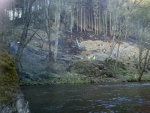 Hasiči likvidovali požár lesa v údolí řeky Kamenice u Spálova