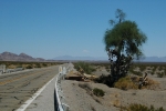 Botovníky v zahraničí - slavná Route 66 v Mohavské poušti v USA