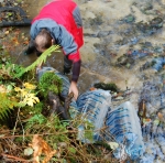 FOTO: Říčku Kamenici nově obývá devět tisíc lososů