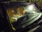 Nehoda divočáka s osobním autem Volkswagen Touareg v obci Loktuše