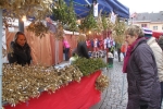 Vánoční jarmark v Jilemnici 2013