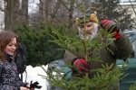 Prodej vánočních stromků z krkonošských lesů s certifikátem FSC na vrchlabském náměstí