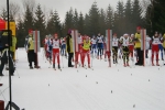 Český pohár v běhu na lyžích v kategoriích dorostu a dospělých v areálu na Horních Mísečkách
