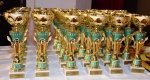 Slavnostní vyhlášení nejlepších sportovců města Vrchlabí za rok 2013