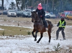 Horseskijöring aneb Koňské lyžování v Martinicích v Krkonoších 2014