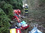 Záchrana muže po pádu stromu u Svojku