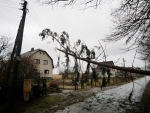 Spadlý strom na elektrické vedení v Zálesní Lhotě