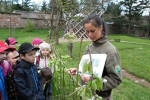 Den země se zaměřením na jarní přírodu uspořádala Správa KRNAP ve vrchlabském zámeckém parku