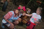 Jubilejní Pohádkový les v Roprachticích si prošla tisícovka dětí a dospělých