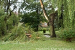 Následky bouřky v Lomnici nad Popelkou