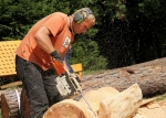 Benecké dřevosochání 2014