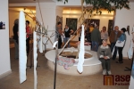 Vernisáž výstavy Aloplastická oskoruše v Pojizerské galerii semilského muzea