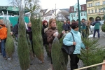Prodej stromků s certifikátem FSC na vrchlabském náměstí