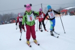 Veřejný závod v běhu na lyžích a Přebor obce sokolské ve sportovním areálu Vejsplachy