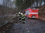 Turnovští hasiči při odstraňování stromů a zajišťování střechy