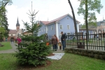 Výsadba nového vánočního stromu na náměstí ve Vrchlabí