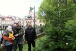 FOTO: Na vrchlabském náměstí vysadili nový vánoční strom