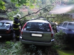 Stromy spadly na zaparkované osobní automobily v Liberci, části Rochlice