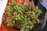 Vinobraní v Kufru 2015