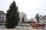 Připravený vánoční strom na semilském náměstí den před rozsvícením