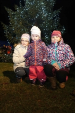 Rozsvícení vánočního stromu v Bozkově 2015