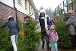 Stopadesát vánočních stromků s certifikátem FSC zmizelo během hodiny