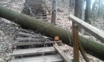 Schody do Palackého sadů v Semilech poškozené pádem stromu