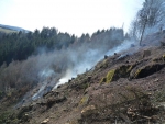 Ve svahu u řeky Kamenice nedaleko Podspálova hořela hrabanka