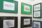 Vernisáž výstavy prací žáků výtvarného oboru nazvaná Samá voda v Krkonošském muzeu