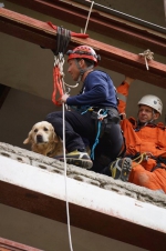 Mezinárodní mítink záchranných psů v Brně