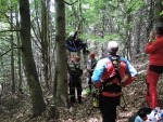 Záchrana paraglidisty uvízlého na stromě u Kozákova