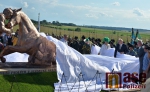 Odhalení pomníku padlým vojákům i koním jezdecké srážky z roku 1866 ve Střezeticích