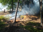 Likvidace požáru lesní paseky nedaleko Kacanov