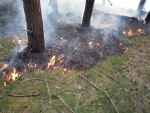 Požár lesa nedaleko vesnice Bohuslav, která je částí obce Hrubá Skála