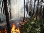 Požár lesa nedaleko vesnice Bohuslav, která je částí obce Hrubá Skála