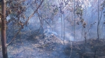 Požár lesa nedaleko Hrabačova u Jilemnice
