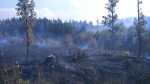 Požár lesa nedaleko Hrabačova u Jilemnice