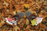 Výstava na stromech ve vrchlabském parku pojmenovaná Poznej své boty