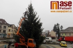 Ve středu 23. listopadu byl na semilském náměstí instalován a ozdoben vánoční strom