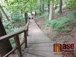Starší větší část schodů v Palackého sadech je už včleněná - zarostlá do okolí v parku