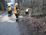 Zásahy hasičů kvůli silnému větru v Libereckém kraji