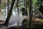 Požár lesního porostu u obce Dubá na Českolipsku