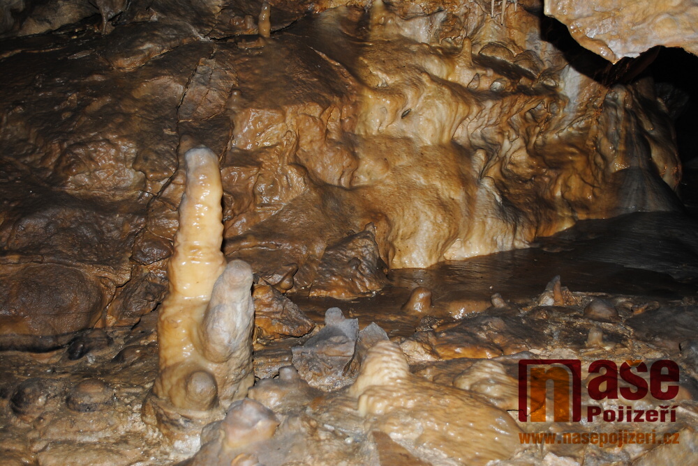 Výlet do Bozkovských dolomitových jeskyní<br />Autor: Petr Ježek