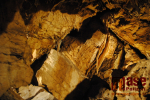 Výlet do Bozkovských dolomitových jeskyní