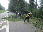 Spadlé stromy na silnici v Raspanavě