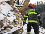 Služební pes HZS Libereckého kraje Charlie při cvičení a zásazích