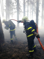 Lesní požár v Hradčanech (Ralsko)