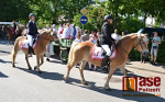 Krajský den koně v Lomnici nad Popelkou 2019
